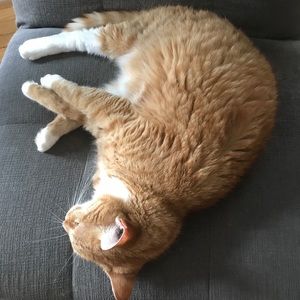 Meet your Posher, Ben